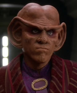 Quark